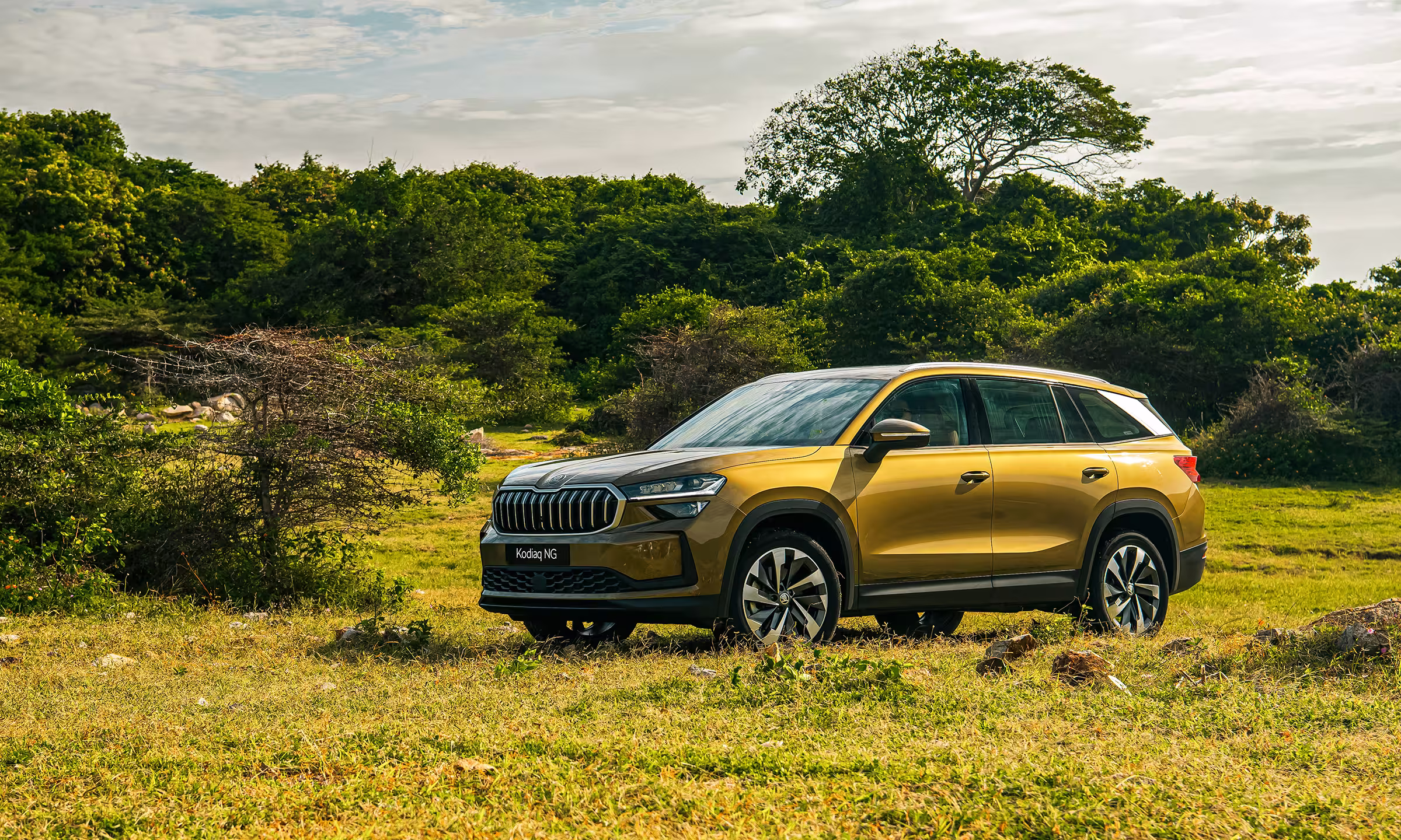 Skoda-Kodiaq-Premium-2025-9-1740474072.avif