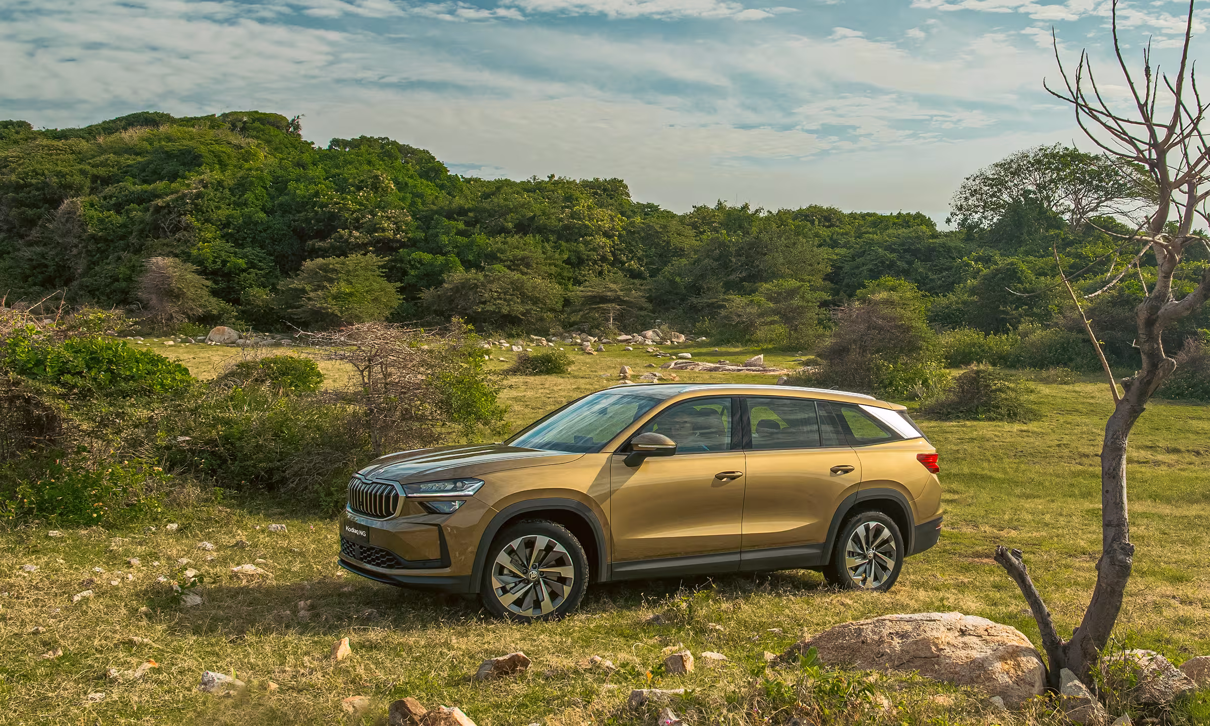 Skoda-Kodiaq-Premium-2025-6-1740474070.avif